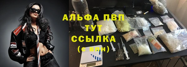 молекула духа Верхний Тагил