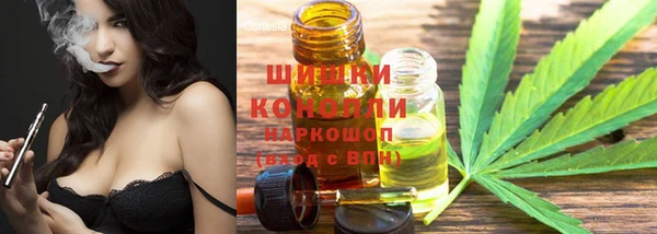 молекула духа Верхний Тагил