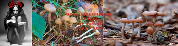 МДМА Каменногорск