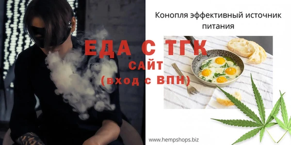 крисы Бородино