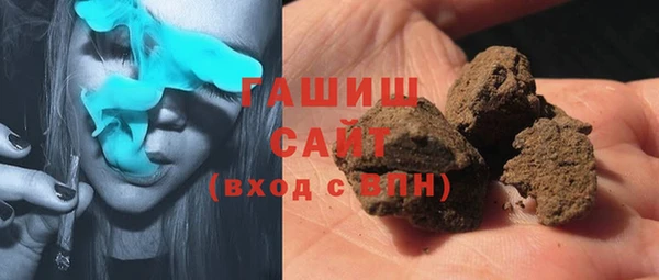 крисы Бородино
