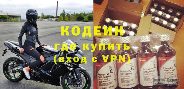 крисы Бородино