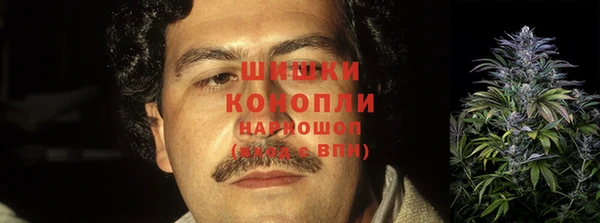 крисы Бородино