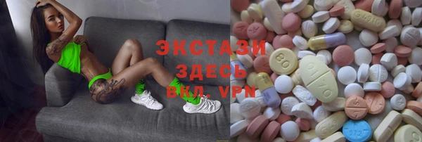крисы Бородино
