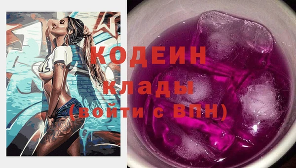 крисы Бородино