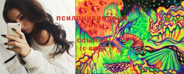 крисы Бородино