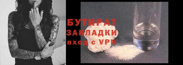 крисы Бородино