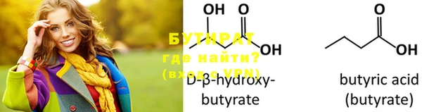 крисы Бородино