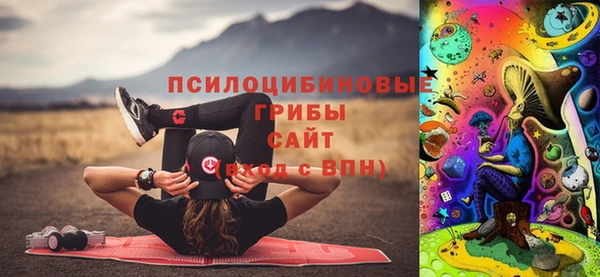 молекула духа Верхний Тагил