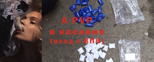 крисы Бородино