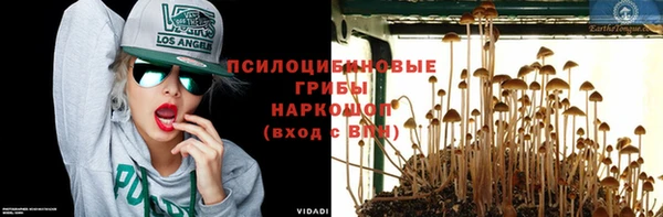 крисы Бородино